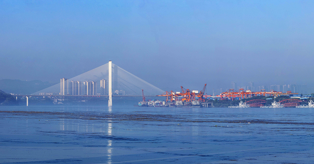 1749004472548066370.jpg lzg.jpg